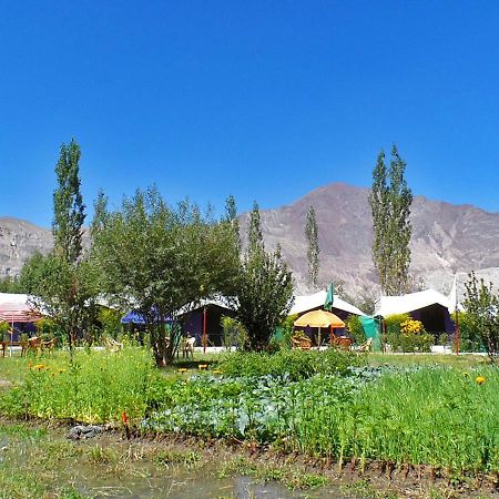 Tiger Camp Nubra Hotel Exterior photo