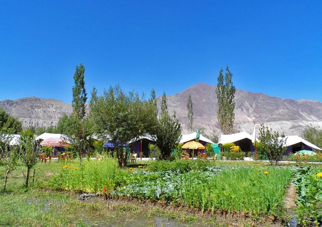 Tiger Camp Nubra Hotel Exterior photo