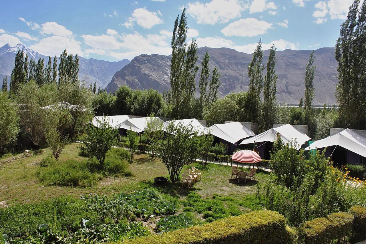 Tiger Camp Nubra Hotel Exterior photo